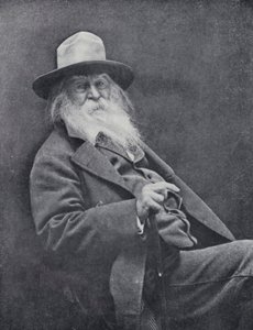 Walt Whitman (zdjęcie czarno-białe) autorstwa English Photographer