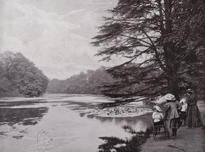 Park Wanstead autorstwa English Photographer