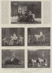 Co widziała królowa w Balmoral