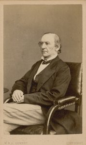 William Ewart Gladstone autorstwa English Photographer