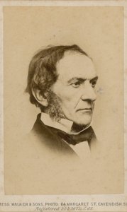 William Ewart Gladstone autorstwa English Photographer
