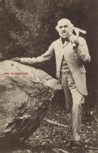 William Ewart Gladstone autorstwa English Photographer
