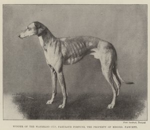 Zdobywca Pucharu Waterloo, Fantastyczna Fortuna, własność Messers Fawcett autorstwa English Photographer