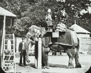 Ogrody Zoologiczne, Regents Park: słoń z dorosłymi i dziećmi na przejażdżce, londyńskie zoo, 1894 autorstwa English Photographer