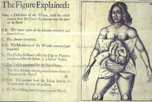 1177 b.19 „Wyjaśniona figura”, schemat macicy, z „Księgi położnych lub cała sztuka położnictwa odkryta” autorstwa Jane Sharp, Londyn autorstwa English School