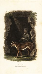 XVIII-wieczny angielski dżentelmen i jego oswojony wilk Canis lupus przy wejściu do jaskini autorstwa English School
