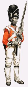 92. Grenadier Pieszy 1815 autorstwa English School