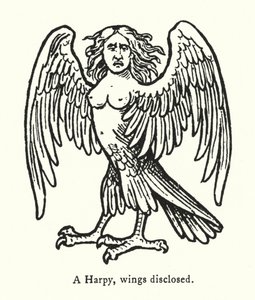 Harpia ze skrzydłami odsłoniętymi (rycina) autorstwa English School