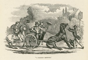 "Kroplomierz do nerek" (grawerunek) autorstwa English School