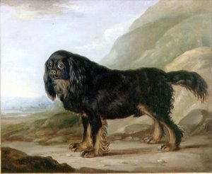 King Charles Spaniel w krajobrazie autorstwa English School