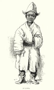Lama (rycina) autorstwa English School