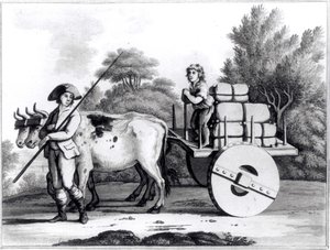 Portugalska farma, z A General View of the State of Portugal autorstwa Jamesa Murphy