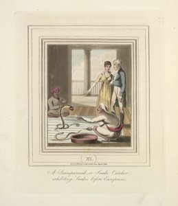Saumpareeah lub Snake Catcher przedstawiający węże przed Europejczykami, ok. 1824 (kolor lito) autorstwa English School