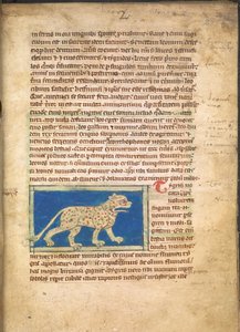 Tygrys, ze Sloane 3544, f.2 (pergamin) autorstwa English School
