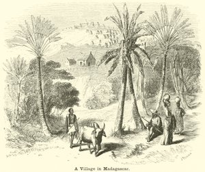 Wioska na Madagaskarze autorstwa English School