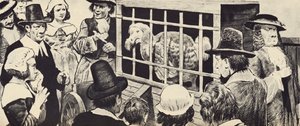 Dodo wystawiany w XVII-wiecznej Anglii (lito) autorstwa English School