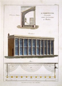 Szklarnia dla Johna Elliotta w Pimlico, Londyn, 1806 r. autorstwa English School