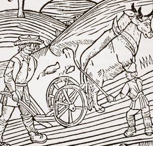 Para wołów zaprzęgniętych do pługa, strona tytułowa z pierwszego pubu John Fitzherberts Boke of Husbandry. 1523 autorstwa English School