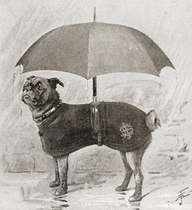 Um pug usando botas, casaco e guarda-chuva para protegê-lo da chuva autorstwa English School