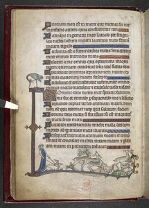 Dodaj MS 24686, f.13v Psalm z przedłużeniem pobocznym tworzącym częściową granicę, c.1284-1316 (welum) autorstwa English School