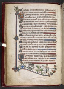 Dodaj MS 24686, f.14v, Chłopiec na kucyku z kaczką polującą na sokoła, c.1284-1316 (welum) autorstwa English School