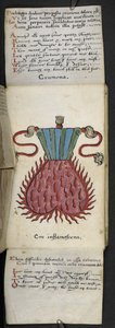 Dodaj książkę do gry MS 57312 f.10 (tusz i kolor na pergaminie) autorstwa English School