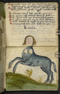 Dodaj grę MS 57312 f.13 (tusz i kolor na pergaminie) autorstwa English School