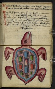 Dodaj książkę do gry MS 57312 f.5 (tusz i kolor na pergaminie) autorstwa English School