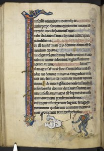 Dodaj MS 62925 f.87v z 
