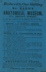 Reklama dla Muzeum Anatomiczne Dr Khans Grant autorstwa English School