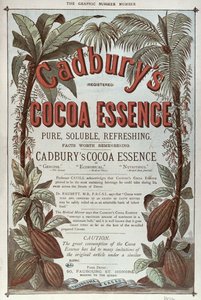 Reklama Cadburys Cocoa Essence, z The Graphic, 1878