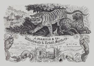Reklama firmy J Martin & Co, hurtowni i detalistów kuśnierzy, Southampton, Hampshire (litho) autorstwa English School