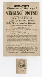 Reklama Śpiewającej Myszy autorstwa English School