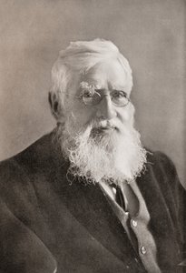 Alfred Russel Wallace, z "Roku autorstwa English School