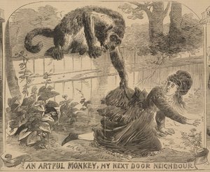 „Przemyślna małpa, mój sąsiad z sąsiedztwa”, ilustracja z „Ilustrowanych wiadomości policyjnych”, 24 sierpnia 1872 r. (lito) autorstwa English School