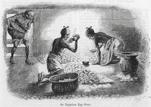 Egipski piec do jajek (grawerunek) autorstwa English School