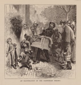 Ilustracja teorii darwinowskiej (rycina) autorstwa English School