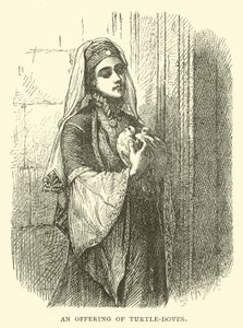 Ein Opfer von Turteltauben