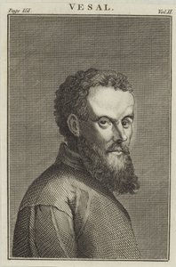 Andreas Vesalius autorstwa English School
