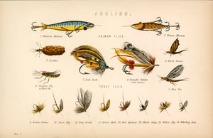 Wędkarstwo autorstwa English School