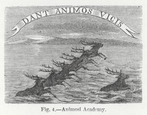 Akademia Animosi (grawerowanie) autorstwa English School