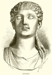 Antonia autorstwa English School