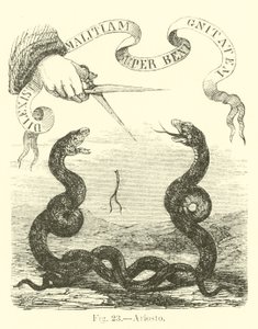 Ariosto autorstwa English School