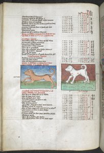 Arundel MS 66 f.44v Canis maior i Canis minor przedstawione jako psy „Katalog gwiazd wydobyty z Ptolemeusza, Almagest…” Kompilacja astrologiczna i proroctwa polityczne autorstwa English School