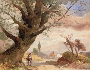 Ash przy drodze (kolor lito) autorstwa English School