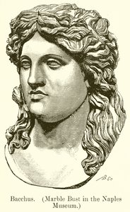 Bachus. (Marmurowe popiersie w Muzeum Neapolitańskim) (rycina) autorstwa English School