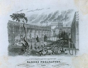 Bażantarnia Bakers, Chelsea autorstwa English School