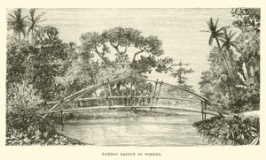 Most bambusowy na Borneo autorstwa English School