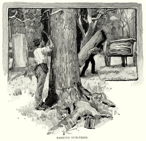 Barking Gum-Trees (grawerunek) autorstwa English School