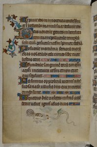Płaskostronicowa scena walki koguta ze skrzydlatym wężem, z ozdobnym inicjałem „D” (eus), Psałterz („Psałterz Królowej Marii”), Royal MS 2 B VII, f.187v, c.1310- 20 (welin) autorstwa English School